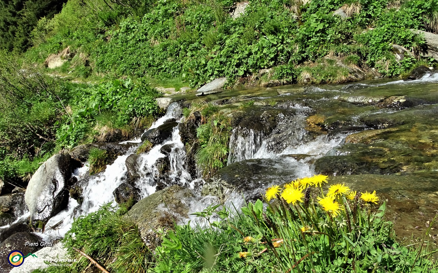 14 Secondo guado su ruscello carico d'acqua.JPG